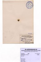 藏品(印度羽藻)的圖片